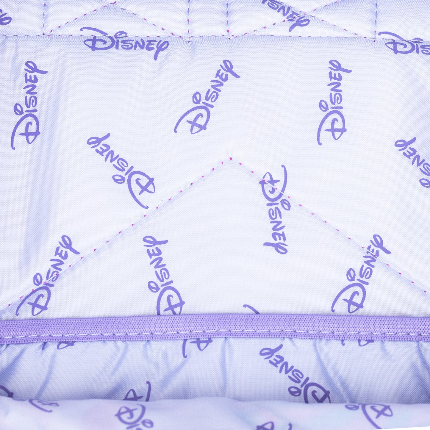 
                  
                    WondaPop Disney Princesses 17" Full Size Nylon Backpack
                  
                