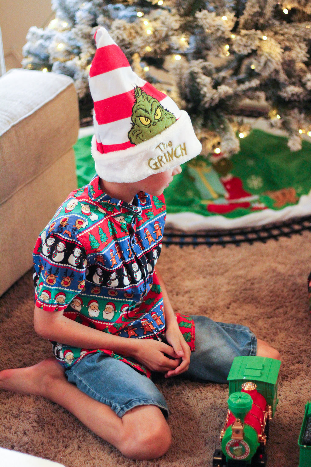 The Grinch Red Stripe Christmas Hat