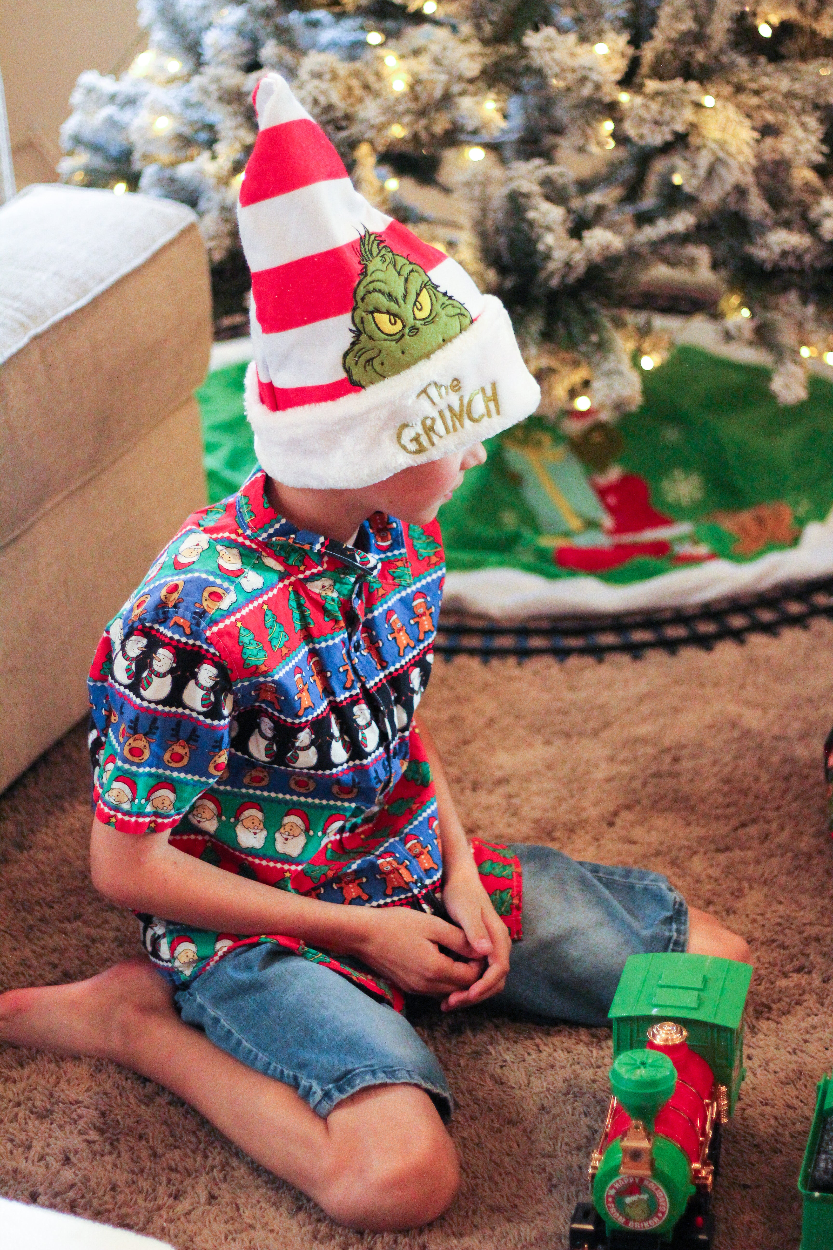 The Grinch Red Stripe Christmas Hat